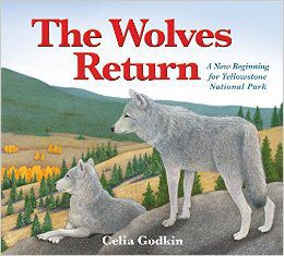 The Wolves Return